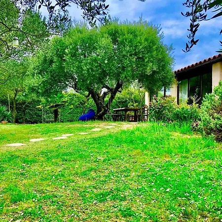 Du Verdon Provence Avec Piscine Et Jardin - Private Villa